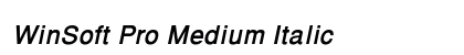WinSoft Pro Medium Italic Preview