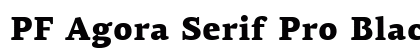 PF Agora Serif Pro Black preview