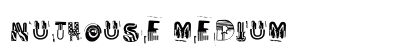 Nuthouse Medium Font Preview