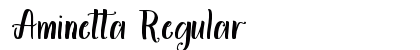 Aminetta Regular Font Preview
