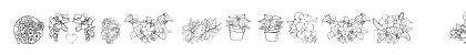 LSFlorals3 Regular