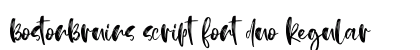 BostonBruins script font duo Regular preview BostonBruins script font duo Regular preview