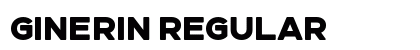 Ginerin Regular preview
