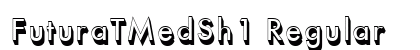 FuturaTMedSh1 Regular