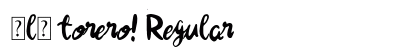 ￿l￿ torero! Regular preview