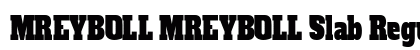 MREYBOLL MREYBOLL Slab Regular preview