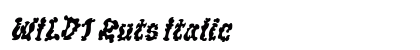WILD1 Ruts Italic preview