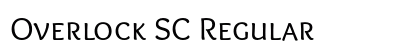 Overlock SC Regular preview