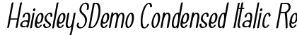 HaiesleySDemo Condensed Italic Regular preview HaiesleySDemo Condensed Italic Regular preview