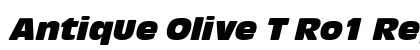 Antique Olive T Ro1 Regular font free download