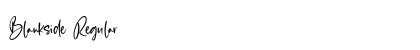 Blankside Regular Font Preview