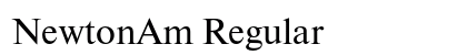 NewtonAm Regular Font NewtonAm Regular Font Preview