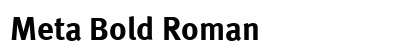 Meta Bold Roman Preview