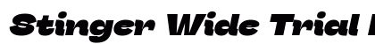 Stinger Wide Trial Heavy Italic Font Stinger Wide Trial Heavy Italic Font Preview
