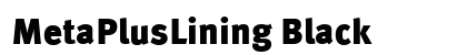 MetaPlusLining Black preview