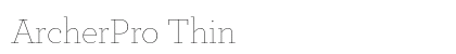 ArcherPro Thin preview