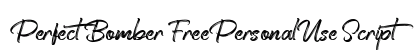 Perfect Bomber FreePersonalUse Script preview