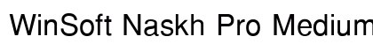 WinSoft Naskh Pro Medium Preview