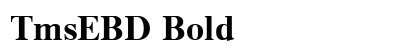 TmsEBD Bold Font Preview