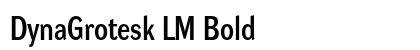 DynaGrotesk LM Bold preview DynaGrotesk LM Bold preview