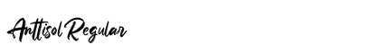Anttisol Regular preview