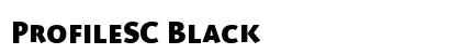 ProfileSC Black preview