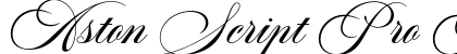 Aston Script Pro Bold Bold Preview
