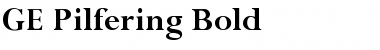 GE Pilfering Font