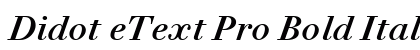 Didot eText Pro Bold Italic preview Didot eText Pro Bold Italic preview