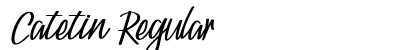Catetin Regular Font Preview