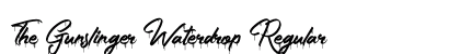 The Gunslinger Waterdrop Regular preview