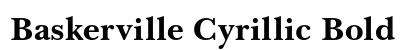Baskerville Cyrillic Bold preview