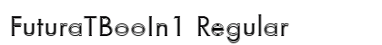 FuturaTBooIn1 Regular