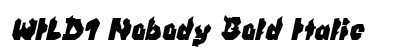 WILD1 Nobody Bold Italic preview