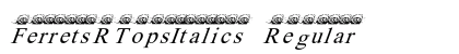 FerretsRTopsItalics Regular