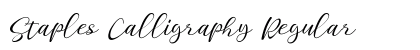 Staples Calligraphy Regular preview