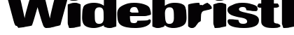 Widebristle Regular preview