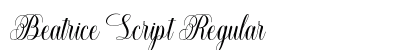 Beatrice Script Regular (OpenType) Font Preview