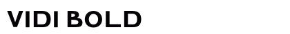 Vidi Bold preview