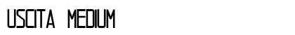 Uscita Medium Font Preview