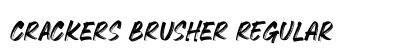 CRACKERS BRUSHER Regular Font Preview