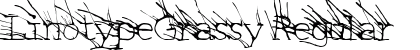 LinotypeGrassy Regular