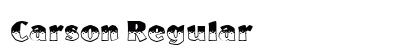 Carson Regular Font Preview