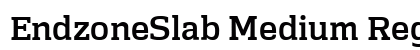 EndzoneSlab Medium Regular font free download