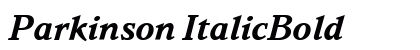 Parkinson ItalicBold preview