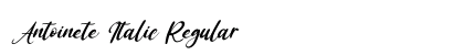Antoinete Italic Regular Font Preview