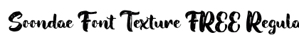 Soondae Font Texture FREE Regular Font Preview