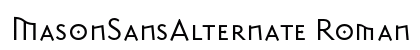 MasonSansAlternate Roman Preview