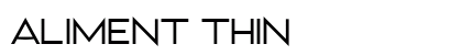 Aliment Thin preview