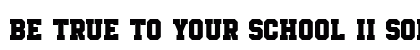 Be True To Your School II Solid preview